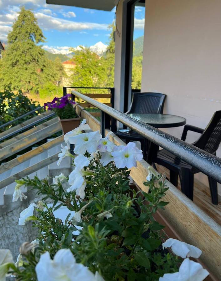 메스티아 Monte Bianco B&B 외부 사진